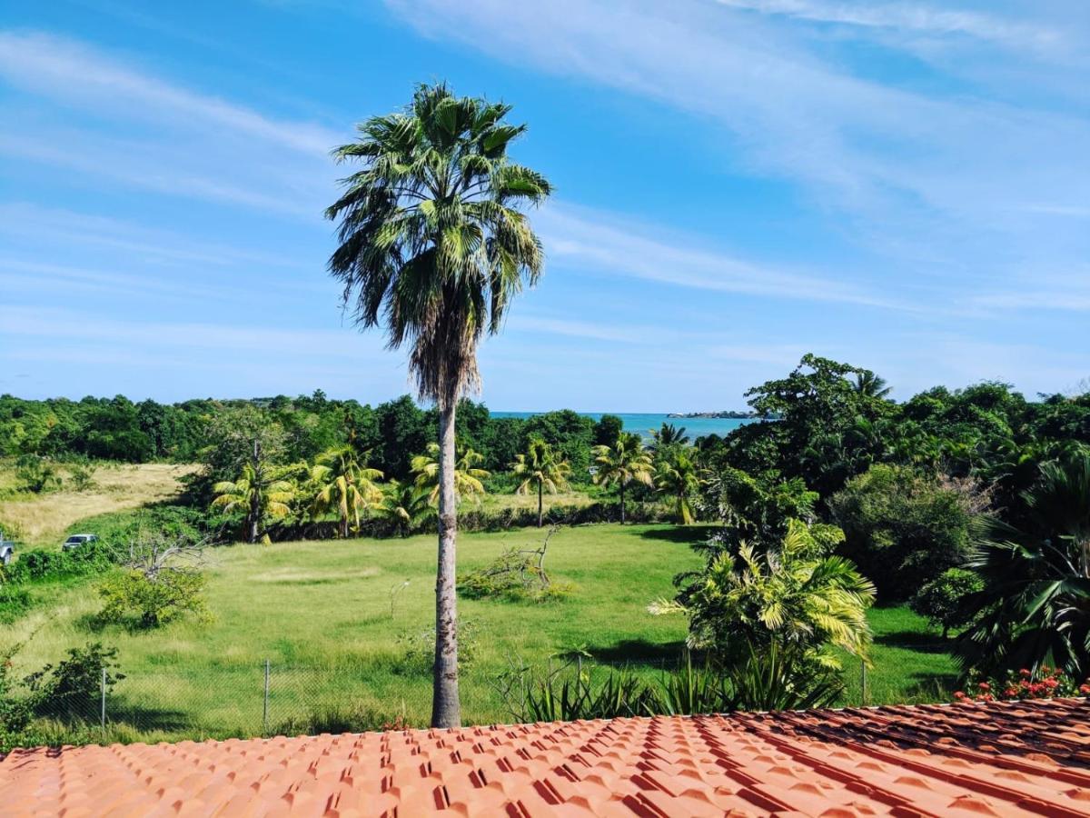 Papeth House Villa Le Francois Bagian luar foto